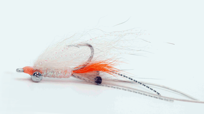 Spawning Shrimp Saltwater fly